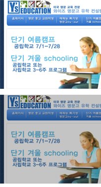 Y's Education